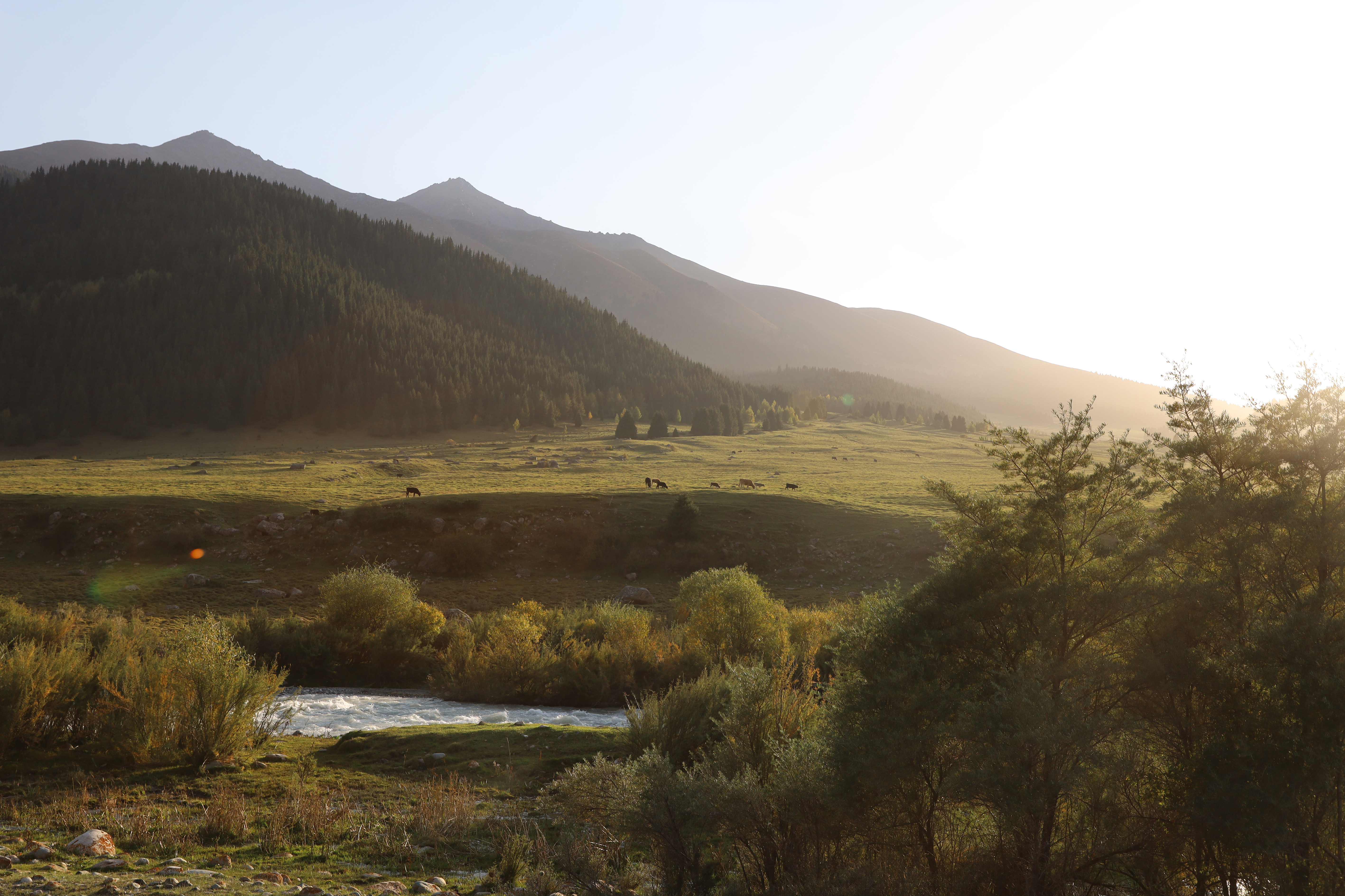 Землетрясение ысык коле. Землетрясение иссык куль. Озеро иссык-куль киргизия на карте. Землетрясение иссык куль. Землетрясение иссык куль.